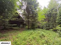 dom wolnostojący, 4 pokoje Lubomierz. Zdjęcie 1