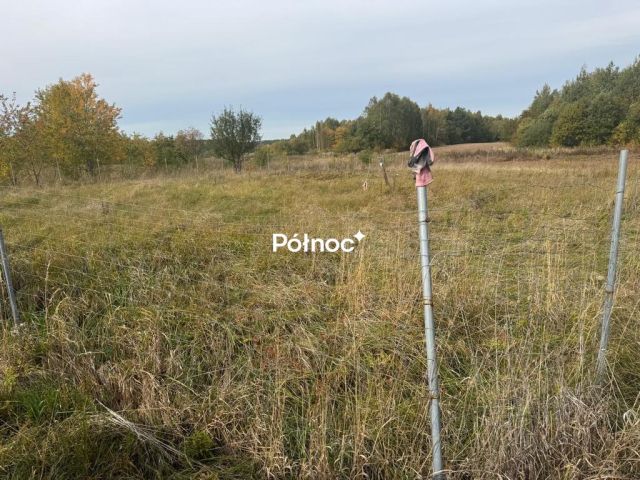 Działka rekreacyjna Skronina. Zdjęcie 2