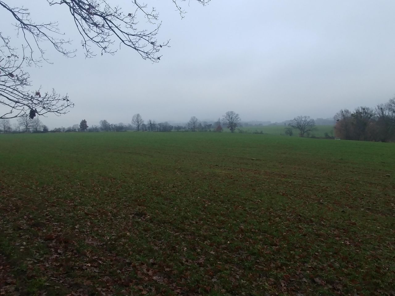 Działka rolno-budowlana Binowo. Zdjęcie 4