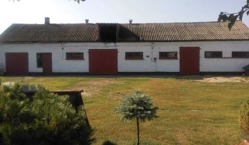 gospodarstwo Tłuchówek
