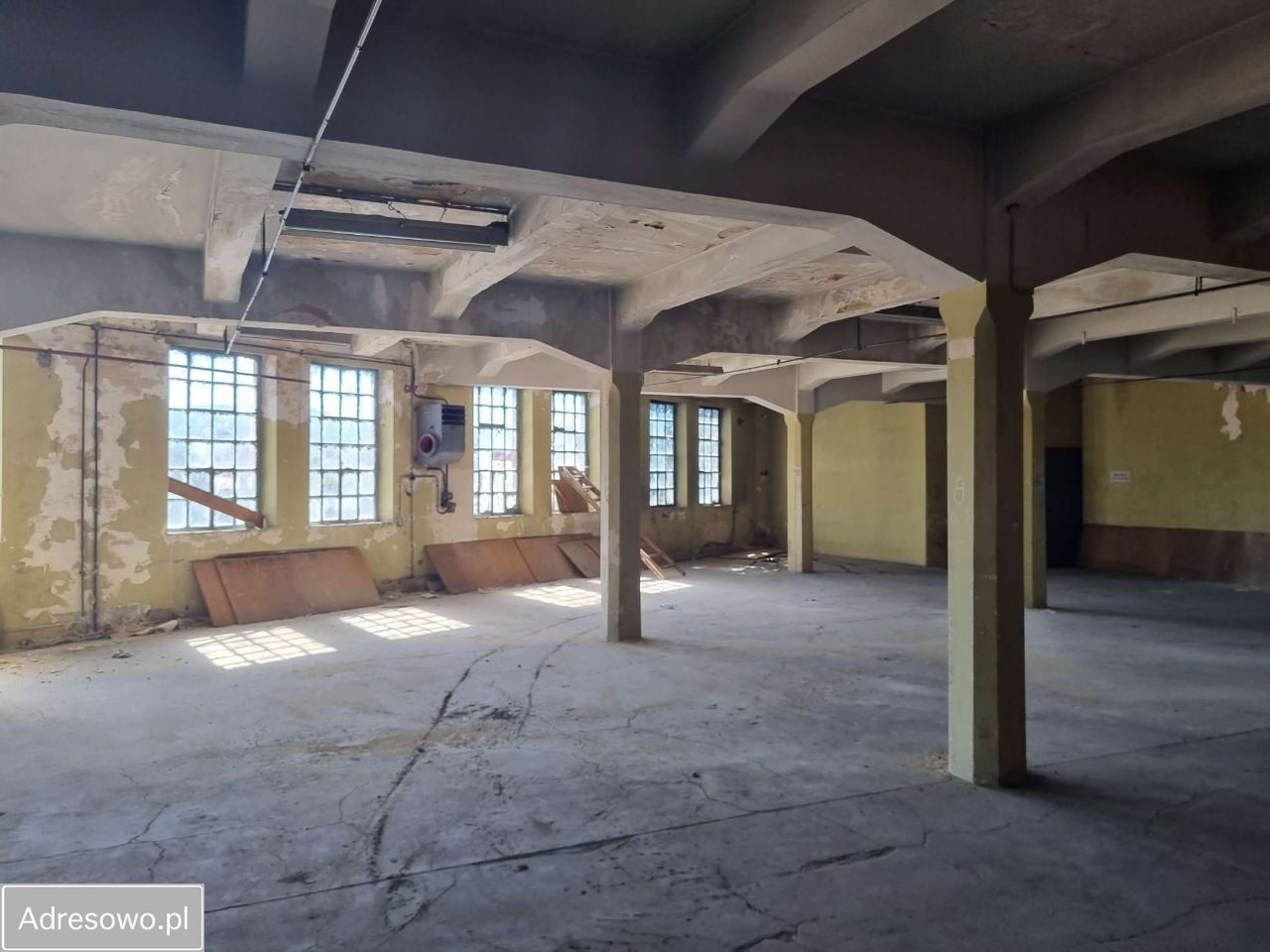 Hala/magazyn Bielawa, ul. Wolności. Zdjęcie 8