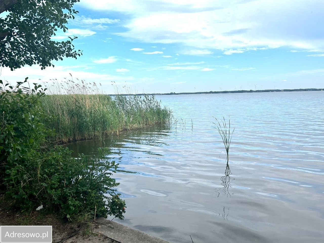 Mieszkanie 2-pokojowe Rogowo. Zdjęcie 19