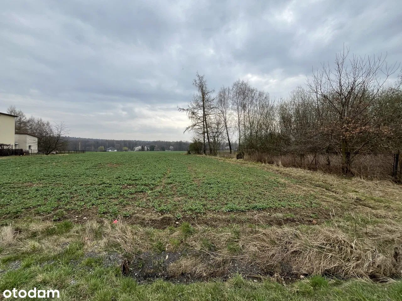 Działka budowlana Czaniec Zagłębocze, ul. Zagłębocze. Zdjęcie 6