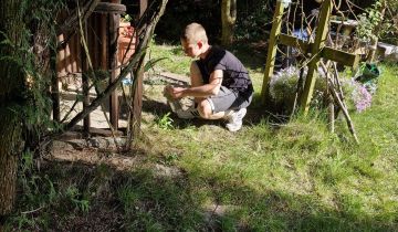 Działka rod Zamość, ul. Lipska