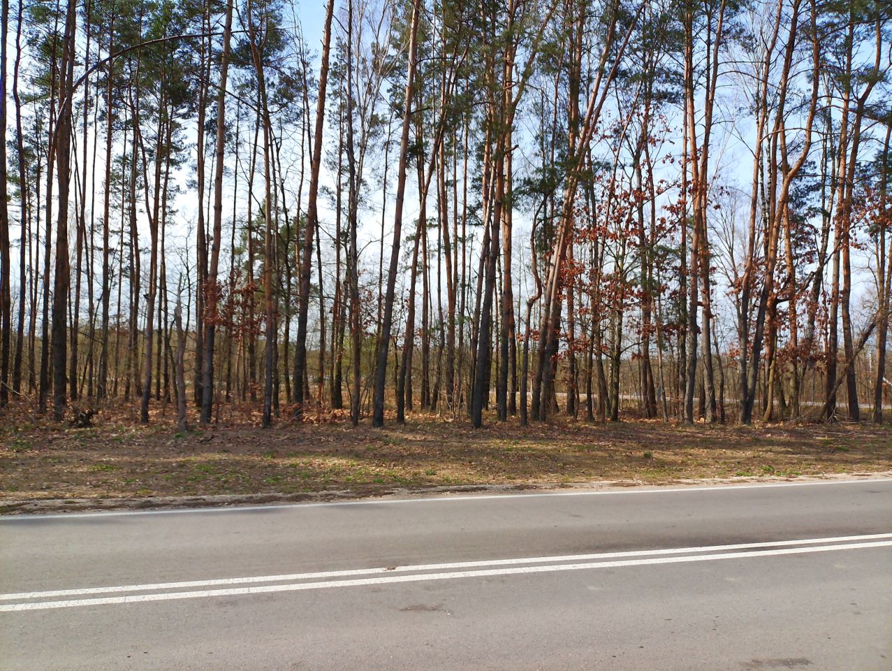 Działka budowlana Marynino, Sosnowa. Zdjęcie 49