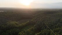 Działka rekreacyjna Jelenin. Zdjęcie 2