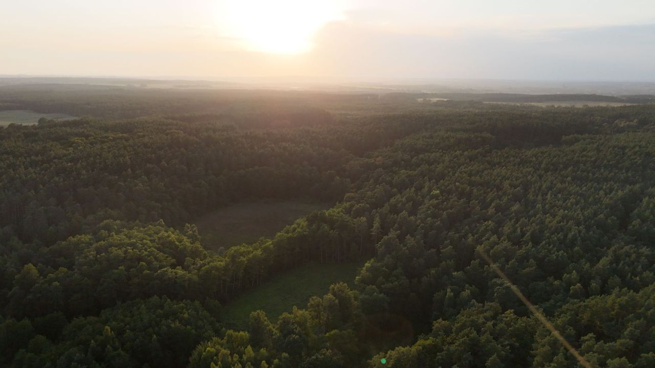 Działka rekreacyjna Jelenin. Zdjęcie 3