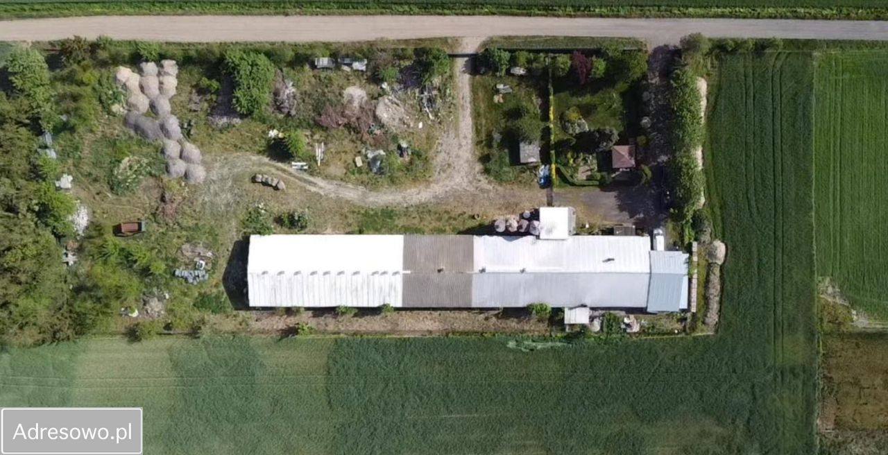 Hala/magazyn Kiełpiny. Zdjęcie 3