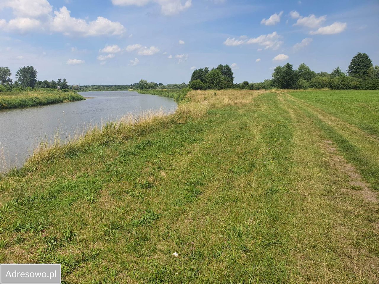 Działka rekreacyjna Morzyczyn-Włóki. Zdjęcie 4