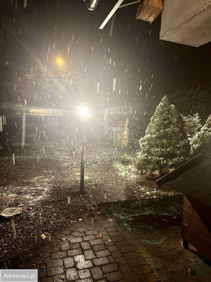 bliźniak, 3 pokoje Rynia. Zdjęcie 10