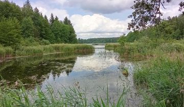 Działka leśna Ciasne, ul. Zielona