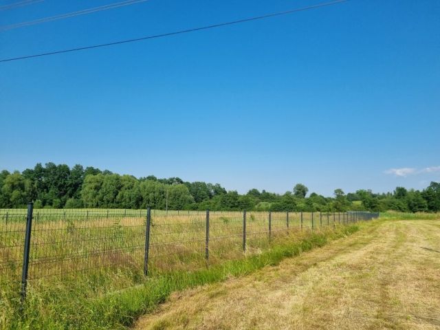 Działka budowlana Stary Waliszów. Zdjęcie 1