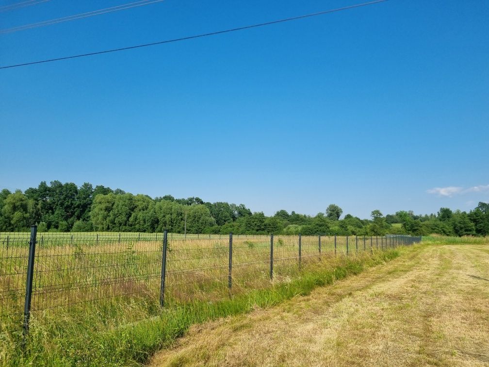 Działka budowlana Stary Waliszów. Zdjęcie 1