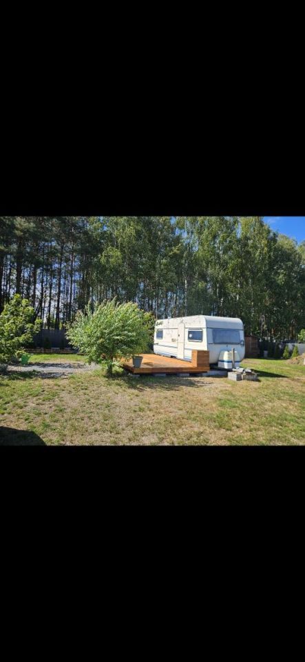 Działka rolno-budowlana Kaszewice-Kolonia. Zdjęcie 4