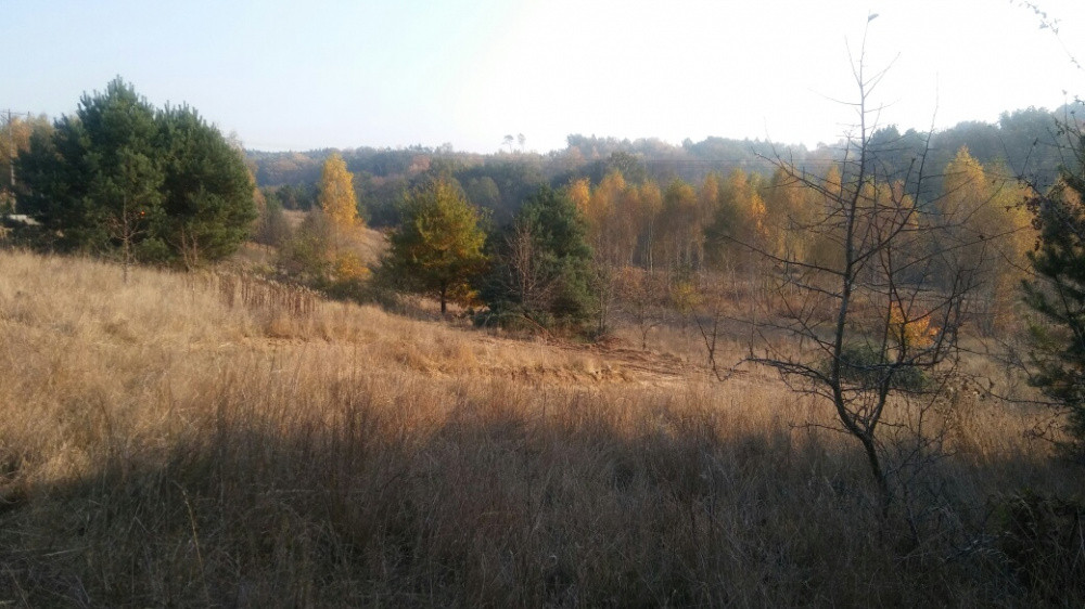 Działka budowlana Gródek, ul. Nowy Świat. Zdjęcie 3
