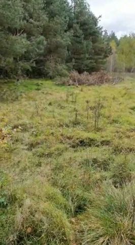 Działka Markocin. Zdjęcie 1