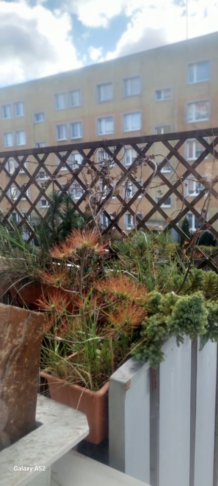 Mieszkanie 2-pokojowe Częstochowa Trzech Wieszczów, ul. Krasińskiego. Zdjęcie 14