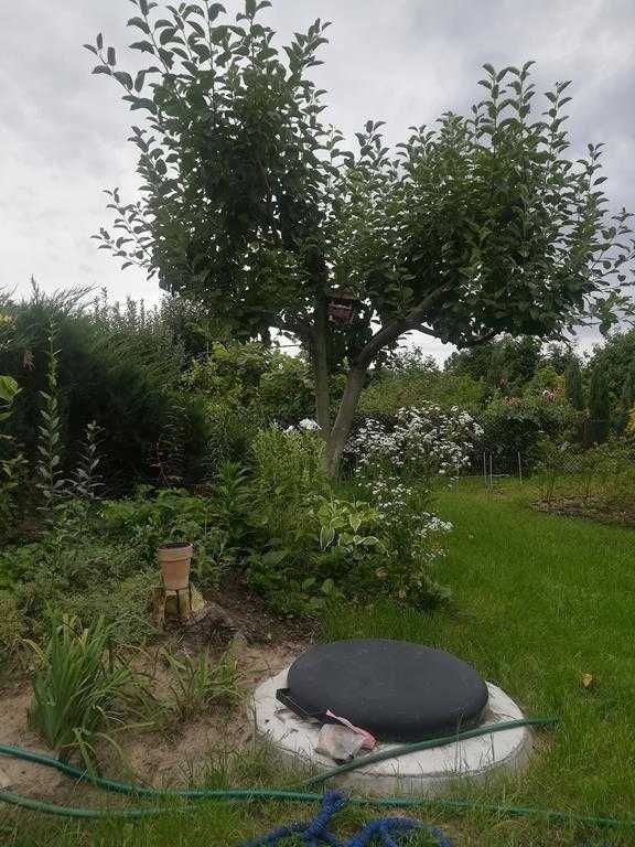 Działka rod Wronki. Zdjęcie 2