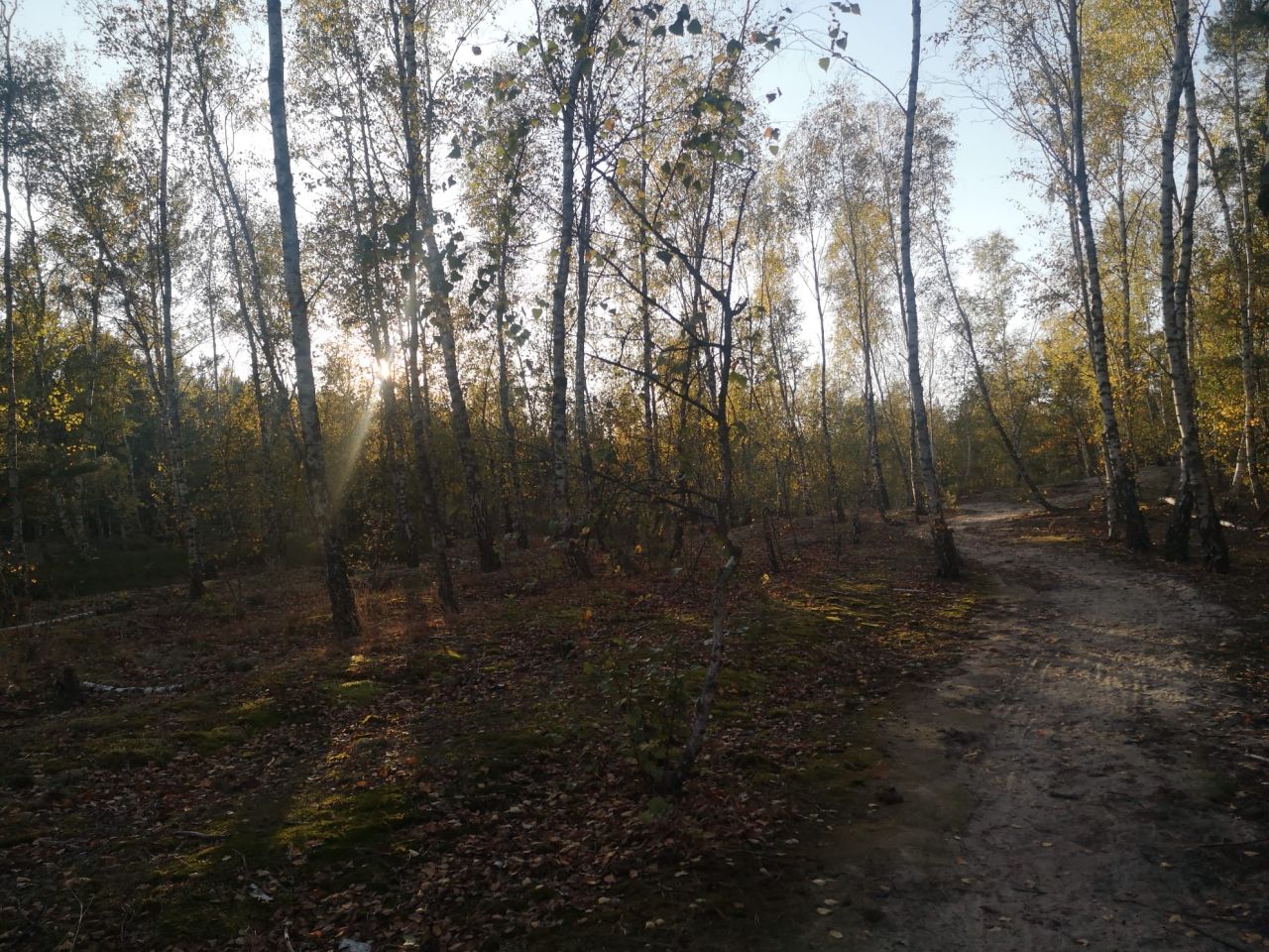 dom szeregowy, 4 pokoje Łajski, ul. Kościelna. Zdjęcie 22