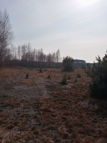 Działka Słopsk. Zdjęcie 1