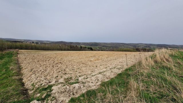 Działka rolna Futoma. Zdjęcie 5