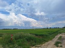 Działka rolno-budowlana Tomkowa. Zdjęcie 4