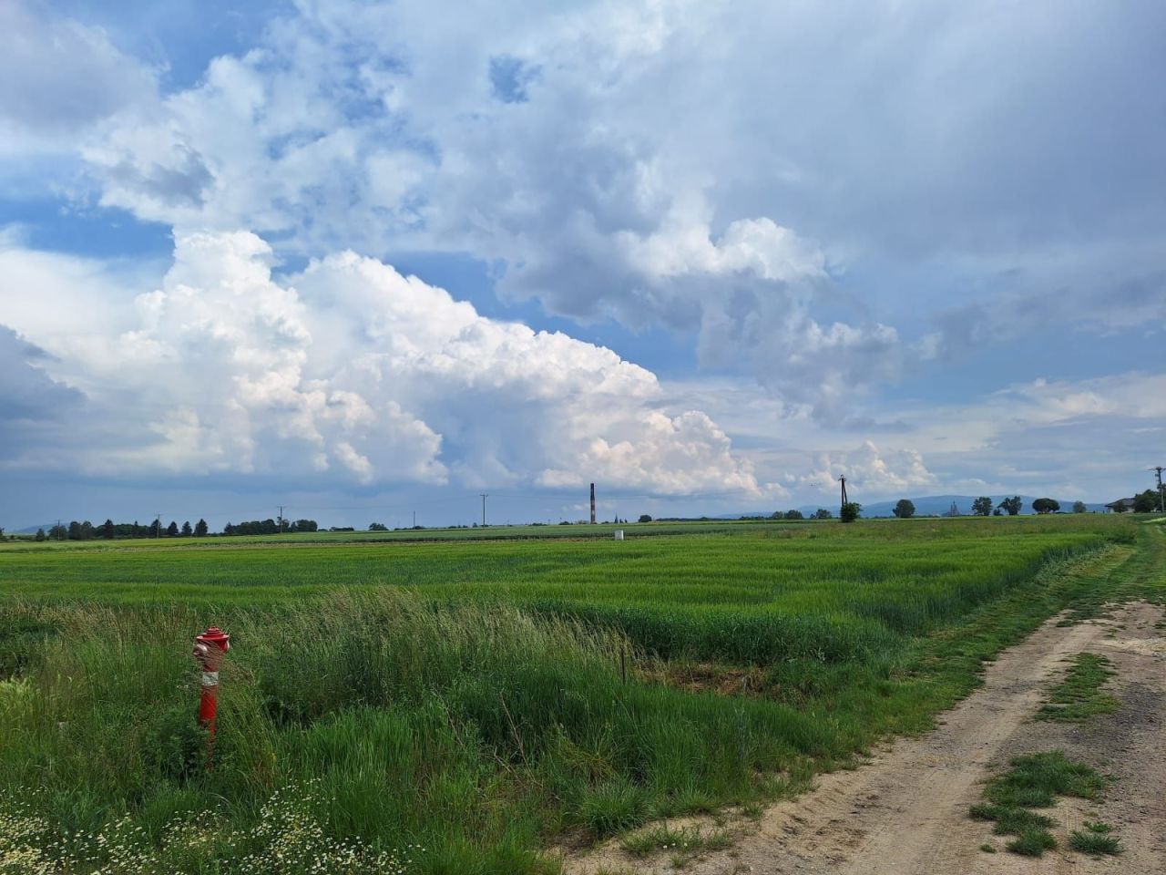 Działka rolno-budowlana Tomkowa. Zdjęcie 5