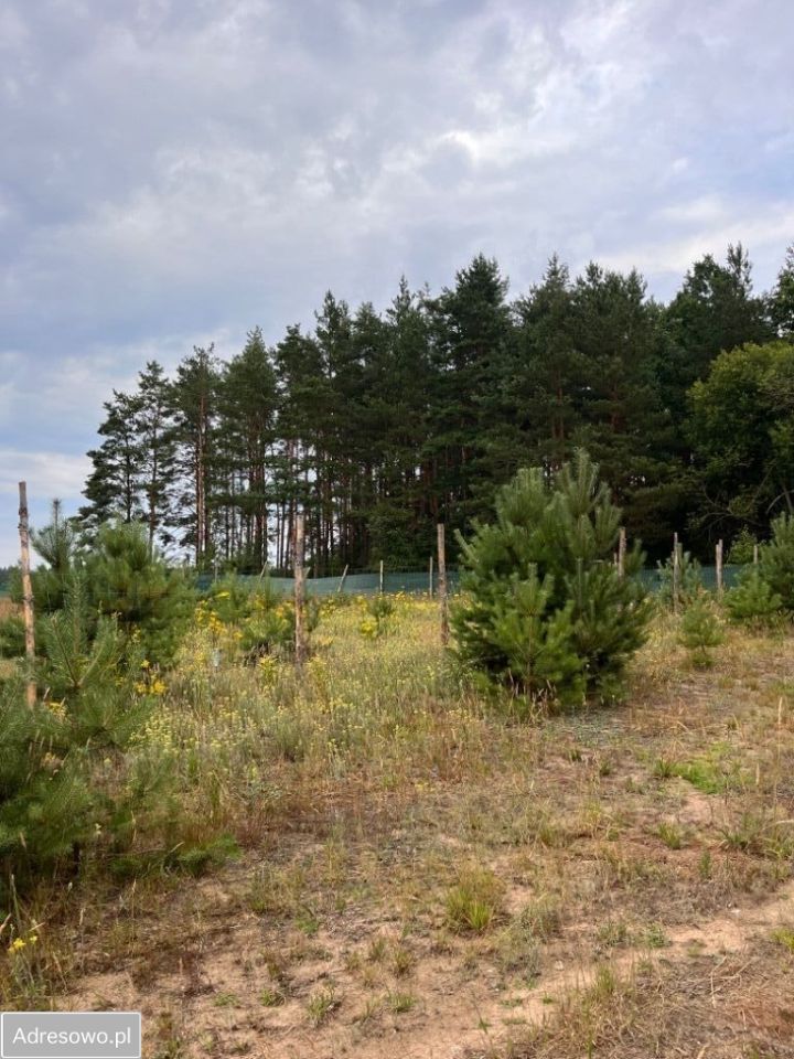 Działka budowlana Wólka-Przedmieście. Zdjęcie 4