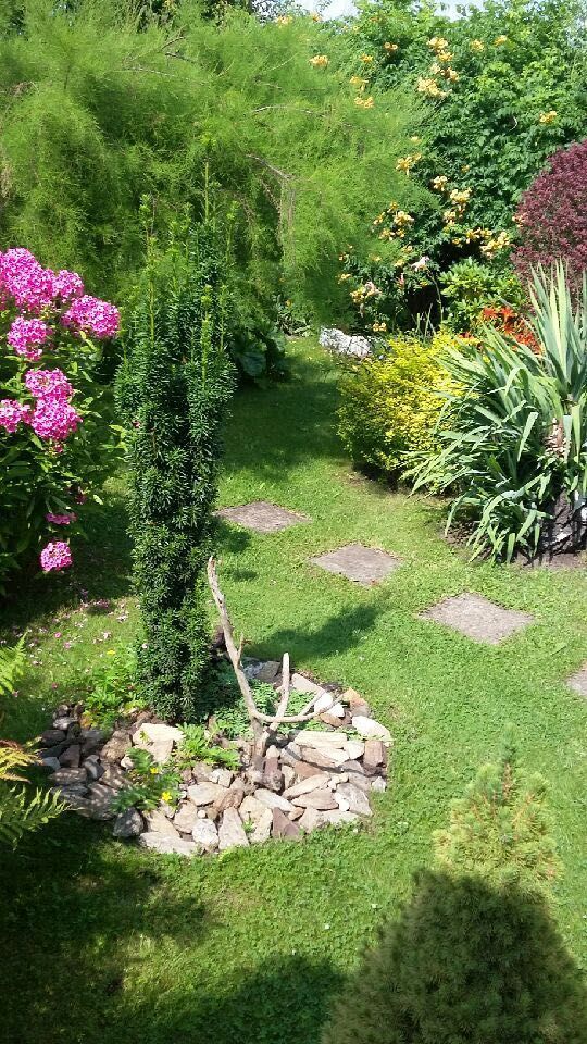 Działka rod Warszawa Targówek, ul. Janowiecka. Zdjęcie 3