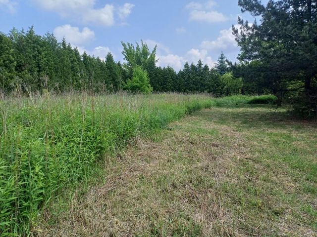 Działka budowlana Puławy Górna Niwa, ul. Ludwika Meresty. Zdjęcie 7