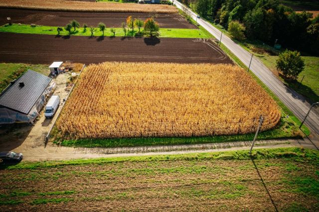 Działka budowlana Pietrowice Wielkie. Zdjęcie 2