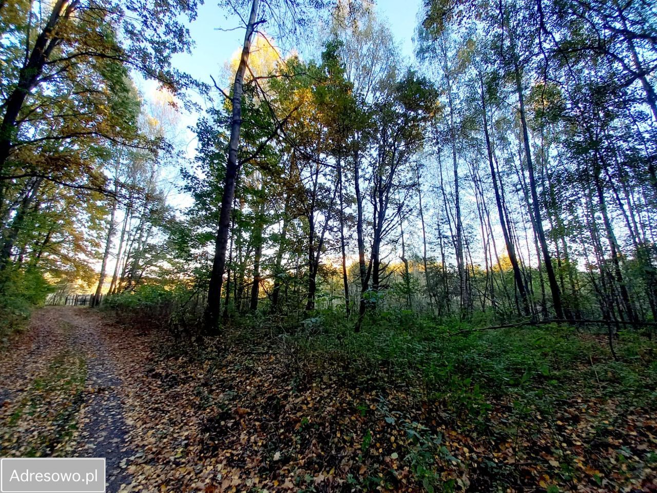 Działka inna Mysłowice Wesoła, ul. Zacisze. Zdjęcie 6