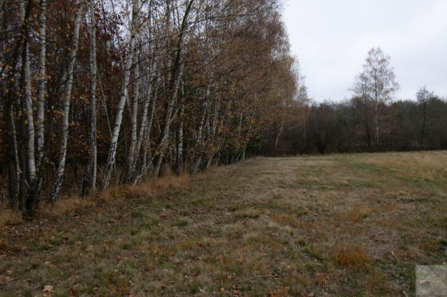 Działka Majdan Sieniawski. Zdjęcie 4