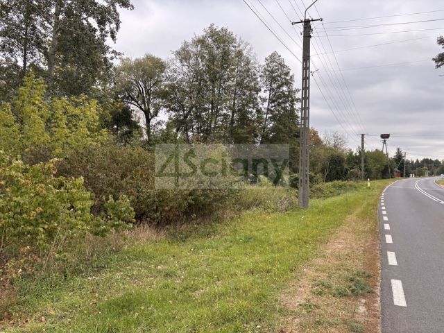 Działka budowlana Wilków Polski. Zdjęcie 7