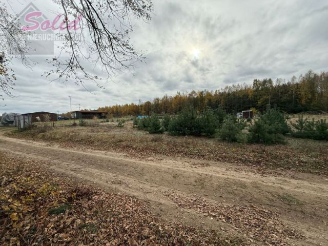 Działka rolno-budowlana Choinek. Zdjęcie 3