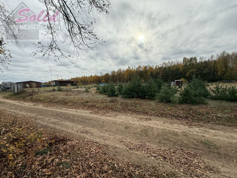 Działka rolno-budowlana Choinek. Zdjęcie 3