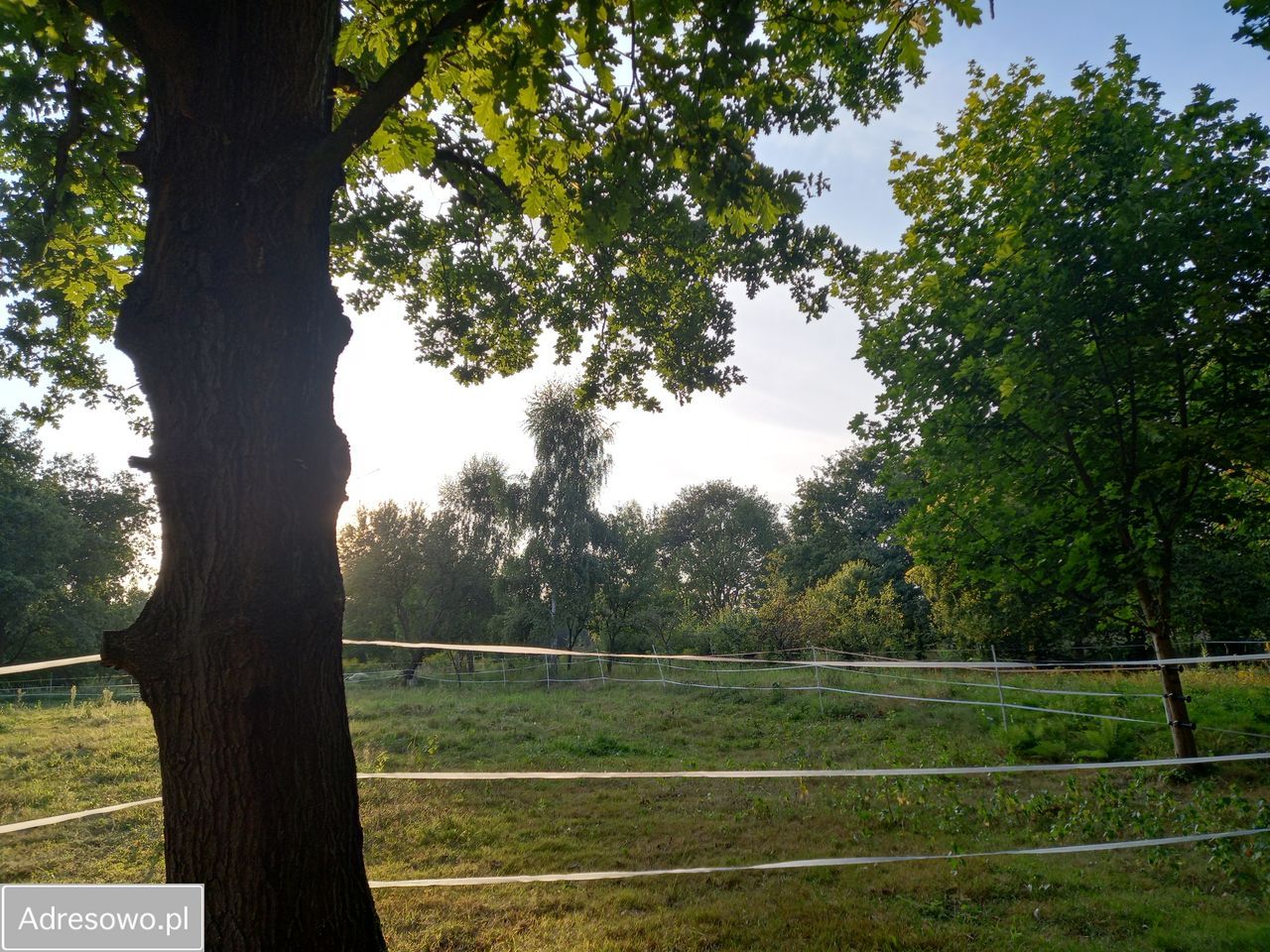 Działka rolna Chrosna. Zdjęcie 7