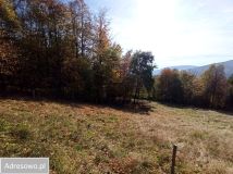 Działka budowlana Brenna, ul. dr. Kisiały. Zdjęcie 1