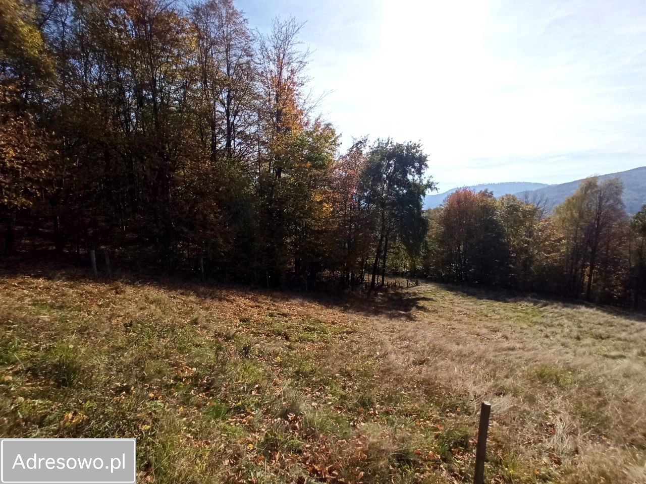 Działka budowlana Brenna, ul. dr. Kisiały. Zdjęcie 2