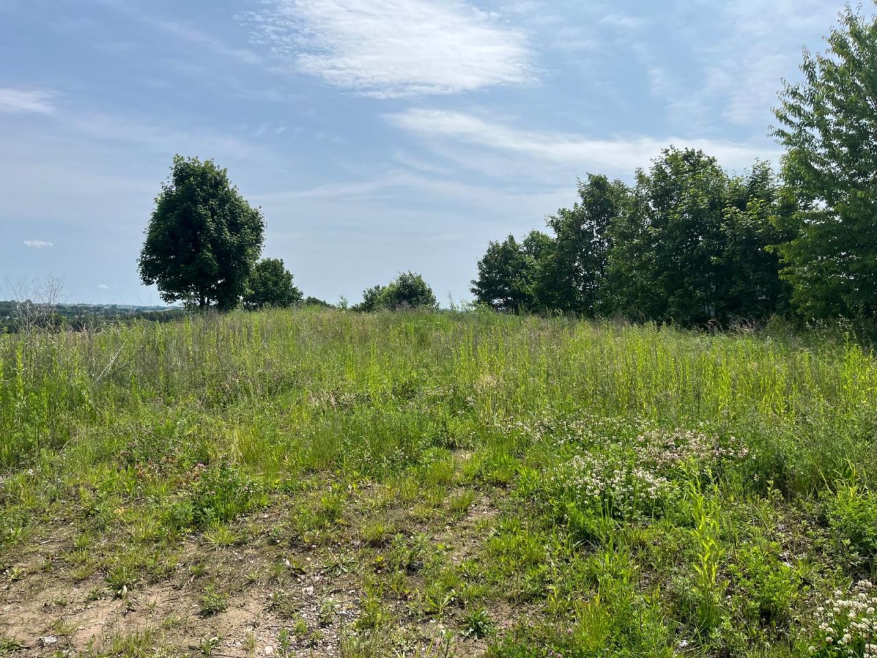 Działka rolno-budowlana Bodzentyn, ul. Południowa. Zdjęcie 4