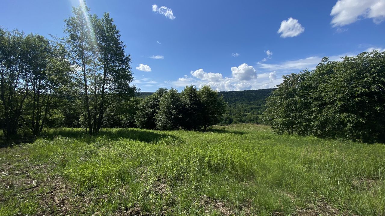 Działka budowlana Zakrzów. Zdjęcie 12