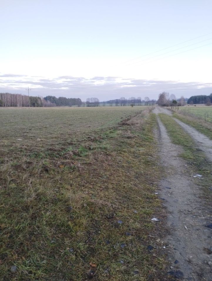 Działka rolna Folwarki Wielkie. Zdjęcie 7