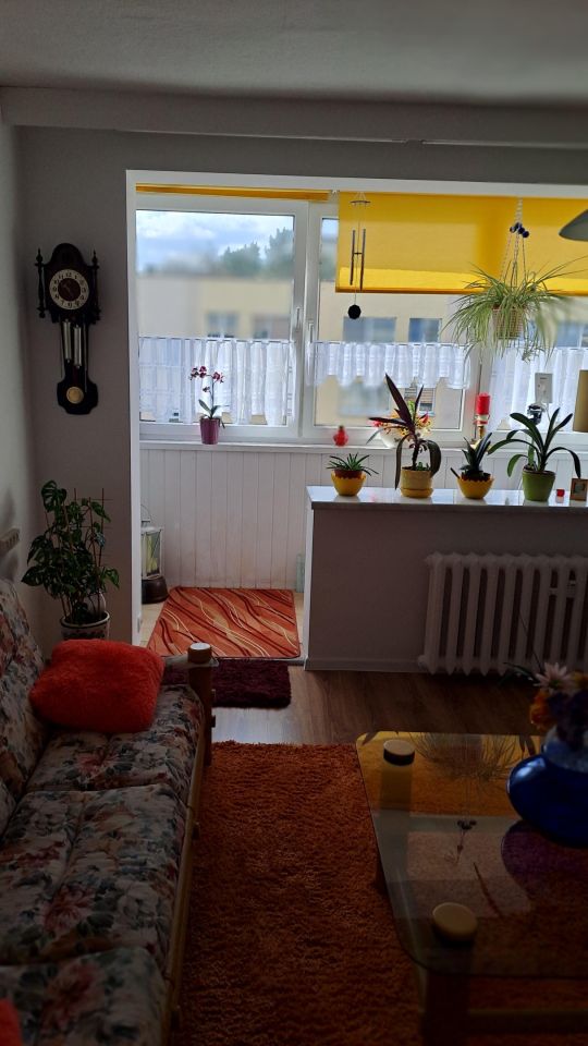 Mieszkanie 2-pokojowe Zgorzelec, ul. Mieczysława Karłowicza. Zdjęcie 5