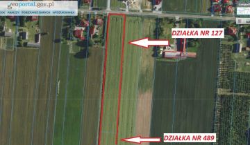 Działka rolno-budowlana Wieprzów Ordynacki