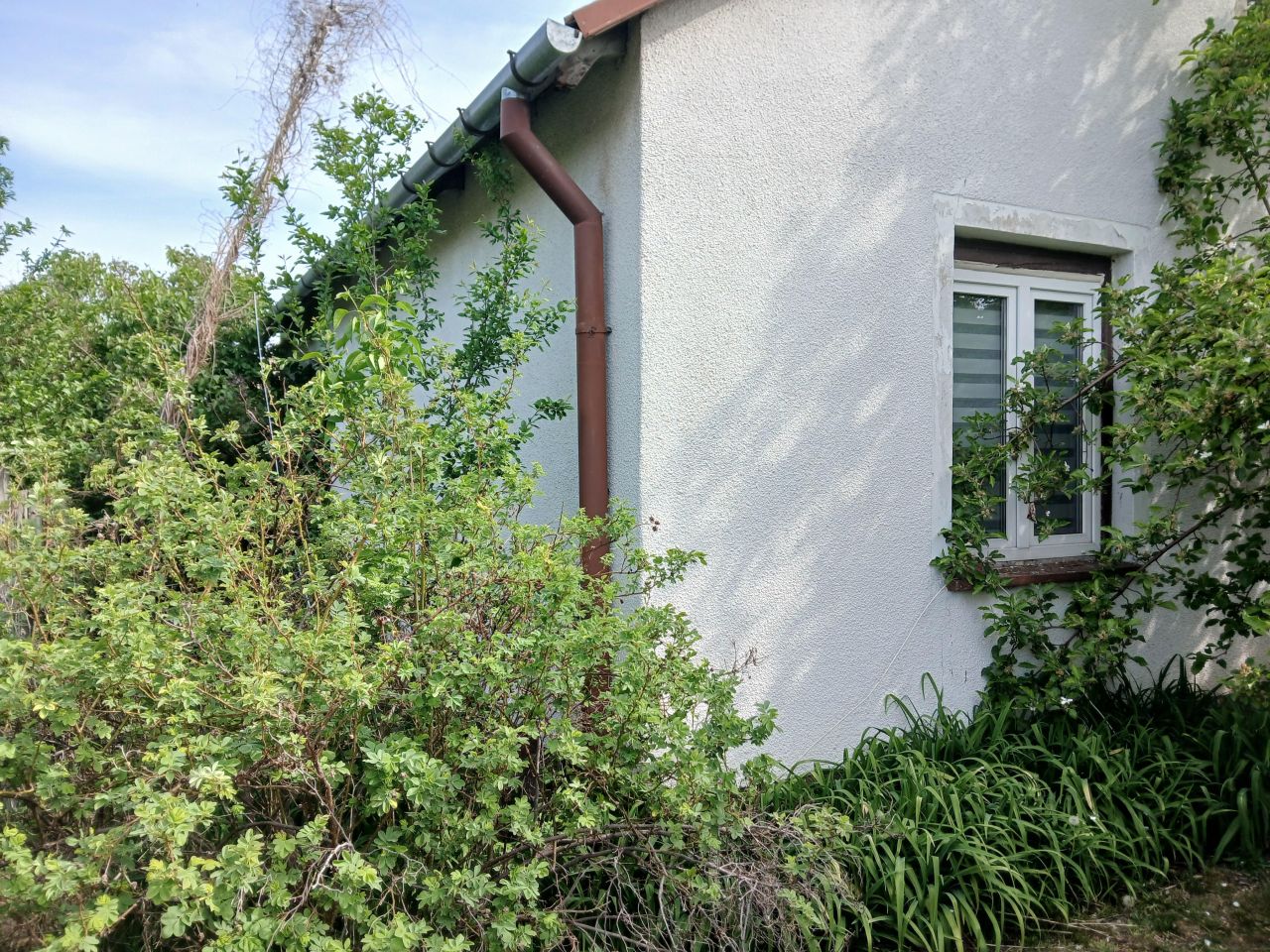 Działka siedliskowa Rudno, ul. Na Wspólnej. Zdjęcie 4