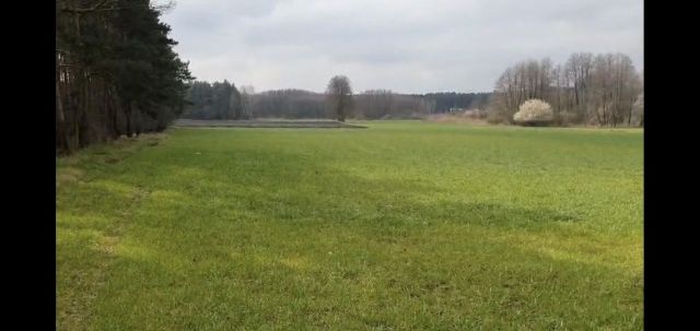 Działka rolna Zaniemyśl, ul. Czarnecka. Zdjęcie 1