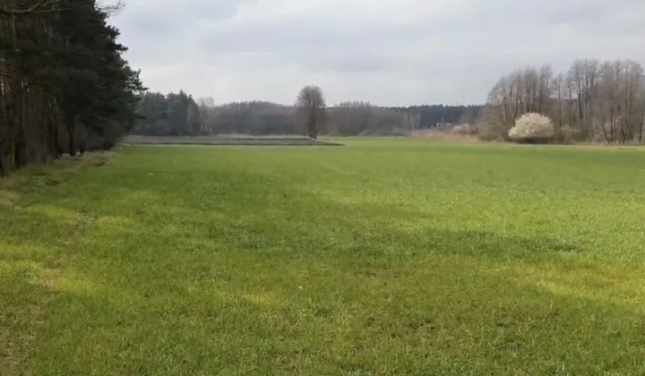 Działka rolna Zaniemyśl, ul. Czarnecka