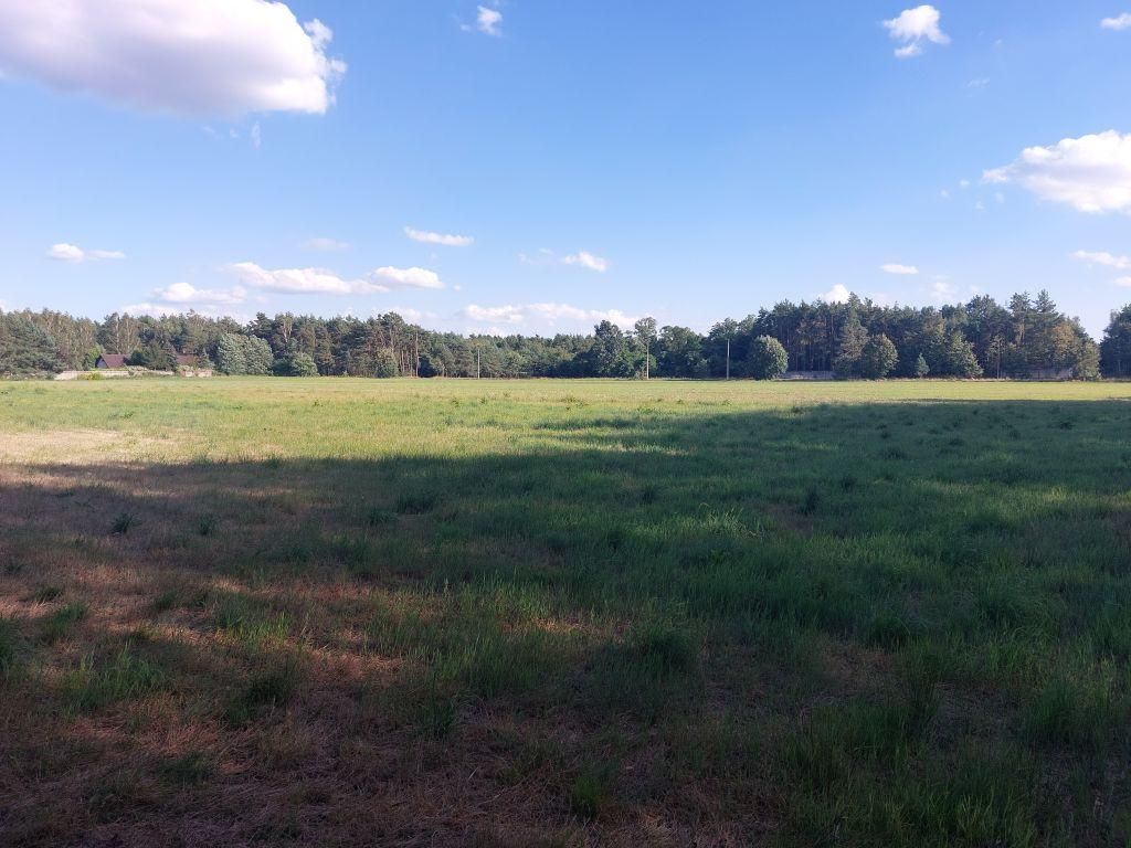 Działka rolno-budowlana Zamęty. Zdjęcie 8