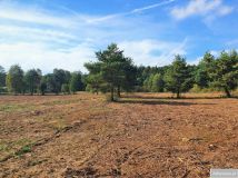 Działka rekreacyjna Franciszków. Zdjęcie 3