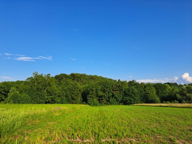 Działka budowlana Klecza Dolna, ul. Brzozowa. Zdjęcie 1